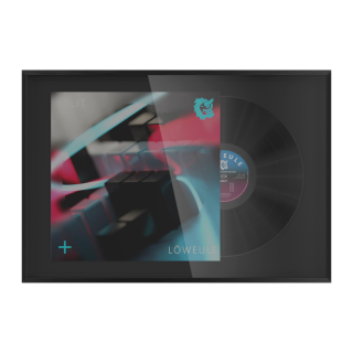 Glorious Record Display Frame