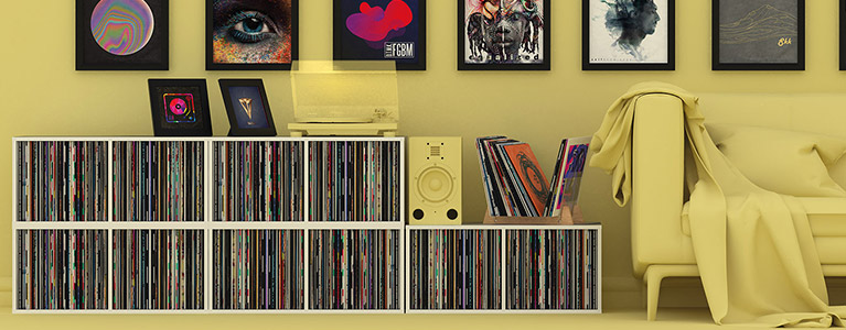 Vinyl Storage